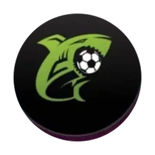 Logo CCA Esport Oficial